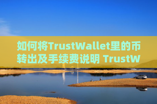如何将TrustWallet里的币转出及手续费说明 TrustWallet转币教程