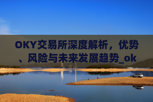 OKY交易所深度解析，优势、风险与未来发展趋势_ok交易所登录网址