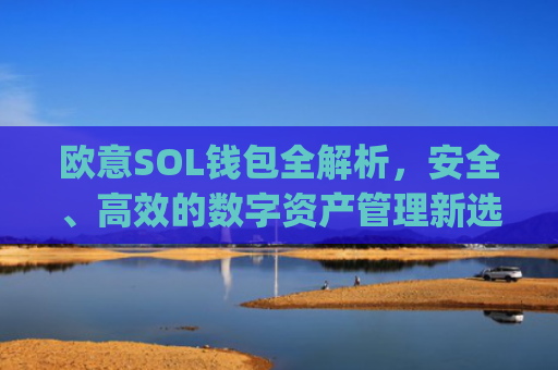 欧意SOL钱包全解析，安全、高效的数字资产管理新选择_oex钱包是什么