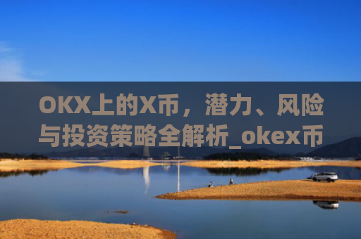 OKX上的X币，潜力、风险与投资策略全解析_okex币币