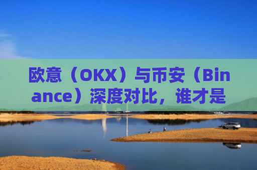 欧意（OKX）与币安（Binance）深度对比，谁才是加密货币交易者的最佳选择？