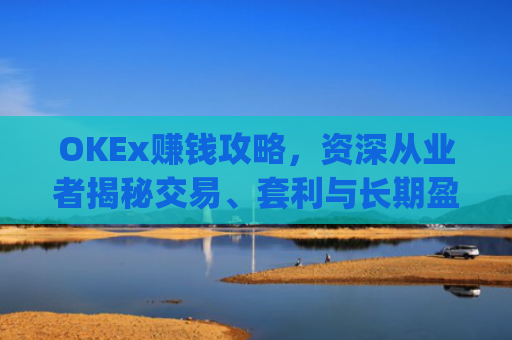 OKEx赚钱攻略，资深从业者揭秘交易、套利与长期盈利策略_okex一年赚多少钱