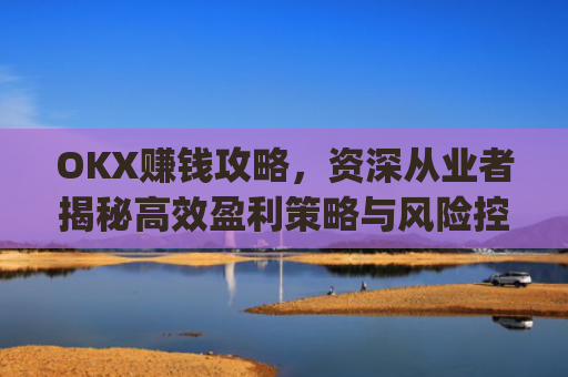 OKX赚钱攻略，资深从业者揭秘高效盈利策略与风险控制_okx赚钱图片