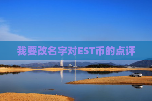 我要改名字对EST币的点评