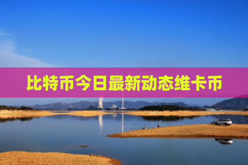 比特币今日最新动态维卡币