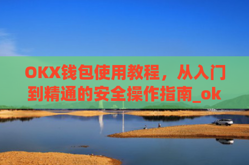 OKX钱包使用教程,从入门到精通的安全操作指南_okex钱包怎么用