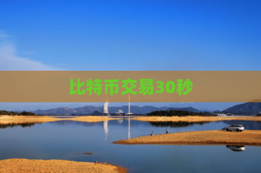 比特币交易30秒