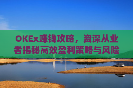 OKEx赚钱攻略，资深从业者揭秘高效盈利策略与风险控制_okex的赚币