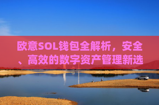 欧意SOL钱包全解析，安全、高效的数字资产管理新选择_oex钱包是什么