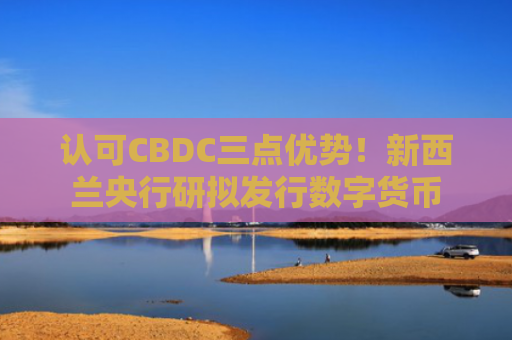 认可CBDC三点优势!新西兰央行研拟发行数字货币