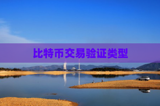 比特币交易验证类型