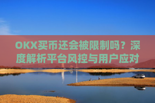 OKX买币还会被限制吗?深度解析平台风控与用户应对策略_okexapp买币流程