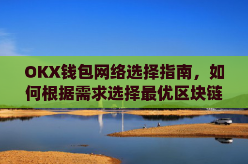 OKX钱包网络选择指南，如何根据需求选择最优区块链网络_okexchina钱包