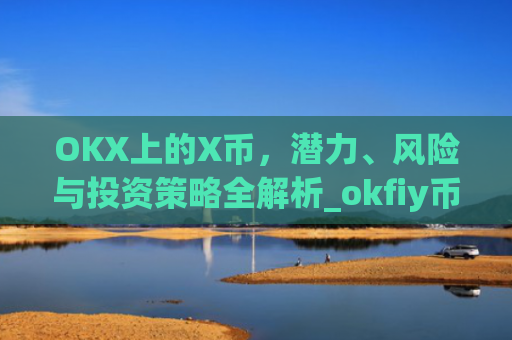 OKX上的X币,潜力、风险与投资策略全解析_okfiy币