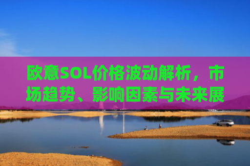 欧意SOL价格波动解析,市场趋势、影响因素与未来展望_