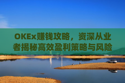 OKEx赚钱攻略，资深从业者揭秘高效盈利策略与风险管理_okex一年赚多少钱