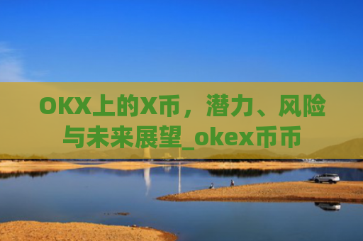 OKX上的X币，潜力、风险与未来展望_okex币币