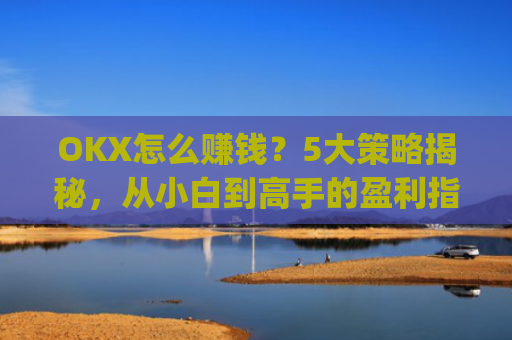 OKX怎么赚钱？5大策略揭秘，从小白到高手的盈利指南_okex是怎么赚钱的
