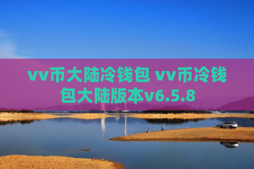 vv币大陆冷钱包 vv币冷钱包大陆版本v6.5.8