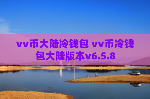 vv币大陆冷钱包 vv币冷钱包大陆版本v6.5.8