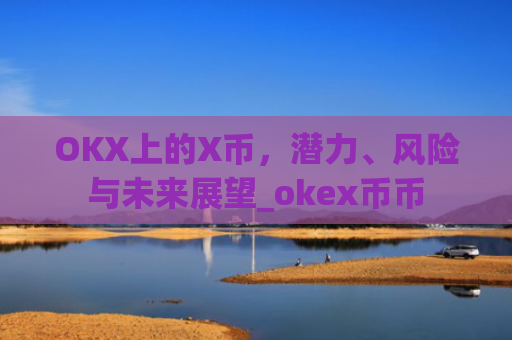OKX上的X币，潜力、风险与未来展望_okex币币