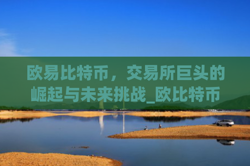欧易比特币，交易所巨头的崛起与未来挑战_欧比特币app