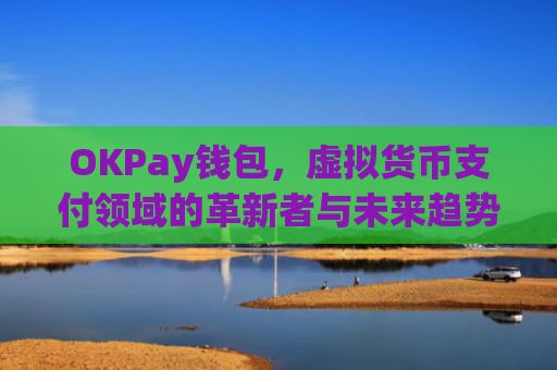 OKPay钱包，虚拟货币支付领域的革新者与未来趋势_okpay钱包是正规平台吗