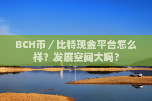BCH币／比特现金平台怎么样？发展空间大吗？