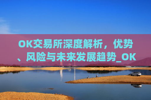 OK交易所深度解析，优势、风险与未来发展趋势_OK交易所