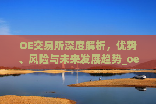 OE交易所深度解析，优势、风险与未来发展趋势_oe交易所app官方下载链接.下载地址链接.中国