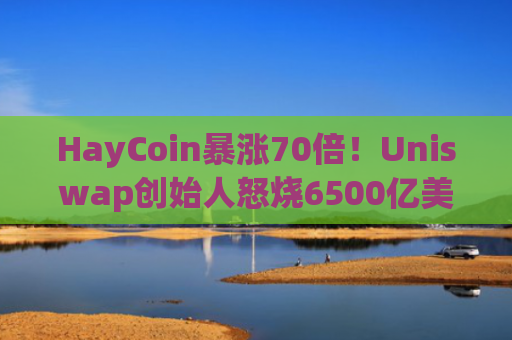HayCoin暴涨70倍！Uniswap创始人怒烧6500亿美金？
