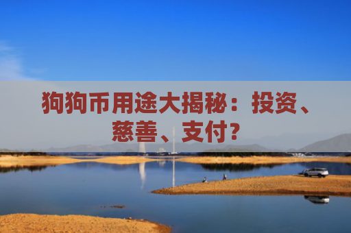 狗狗币用途大揭秘：投资、慈善、支付？