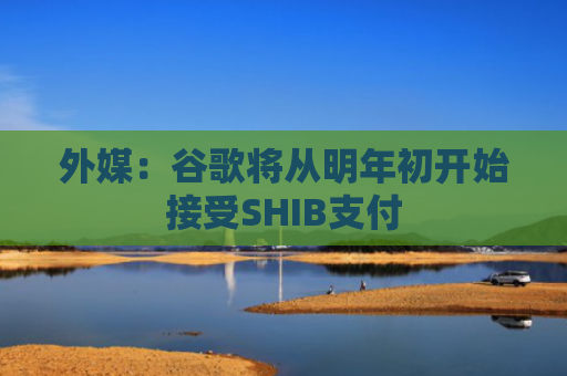 外媒：谷歌将从明年初开始接受SHIB支付