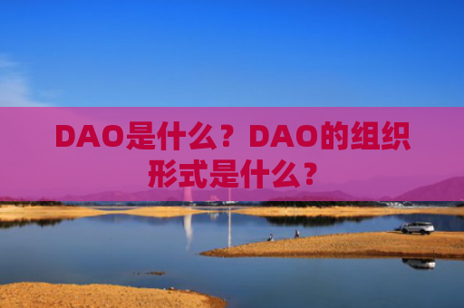 DAO是什么？DAO的组织形式是什么？