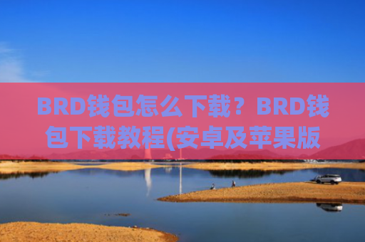 BRD钱包怎么下载？BRD钱包下载教程(安卓及苹果版)