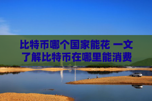 比特币哪个国家能花 一文了解比特币在哪里能消费