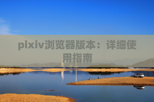 pixiv浏览器版本:详细使用指南